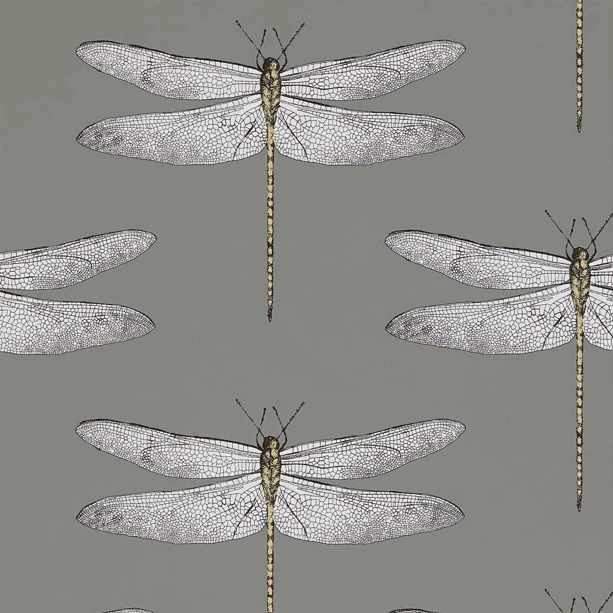 Demoiselle Wallpaper - Harlequin
