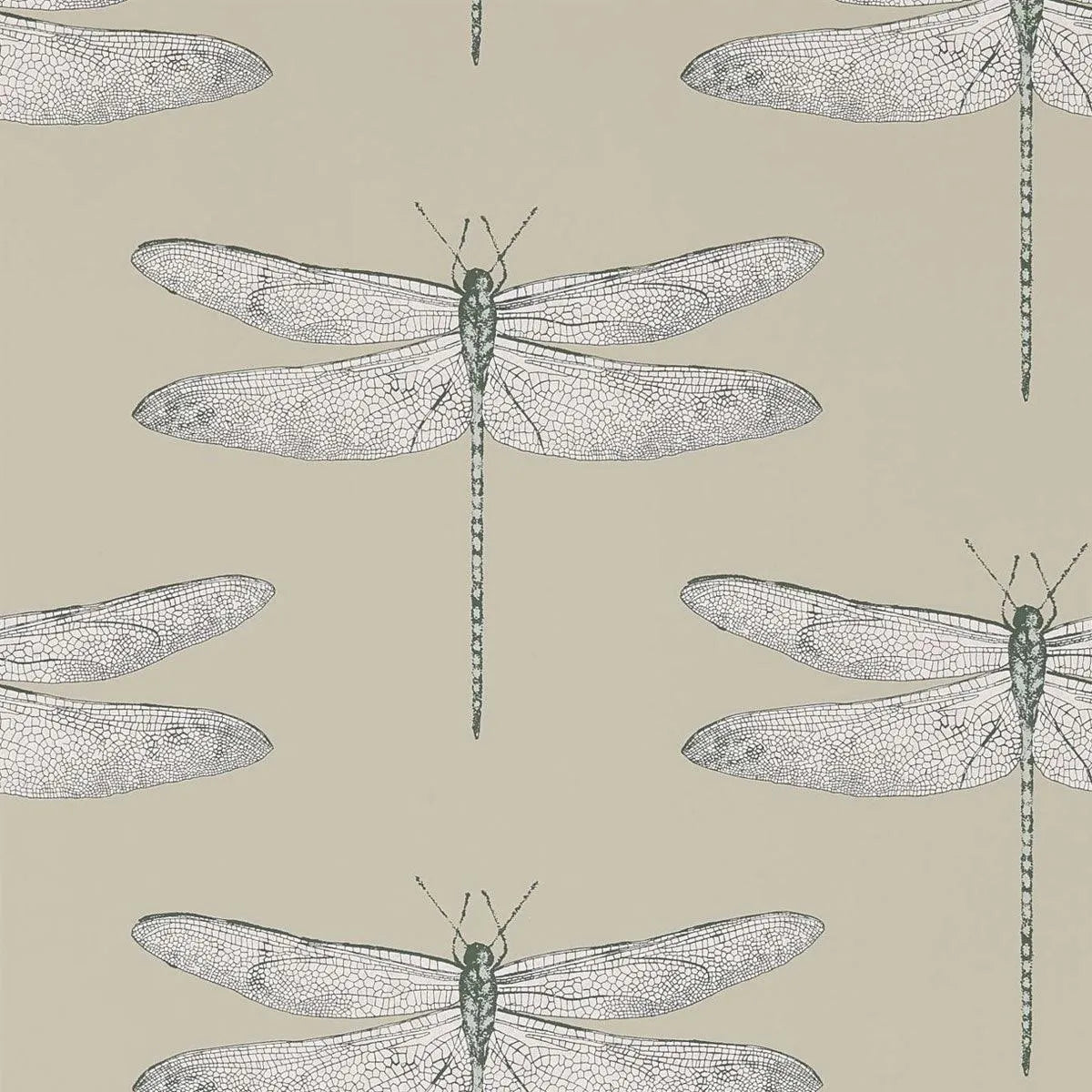 Demoiselle Wallpaper - Harlequin