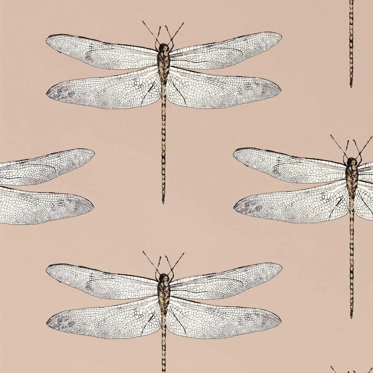 Demoiselle Wallpaper - Harlequin