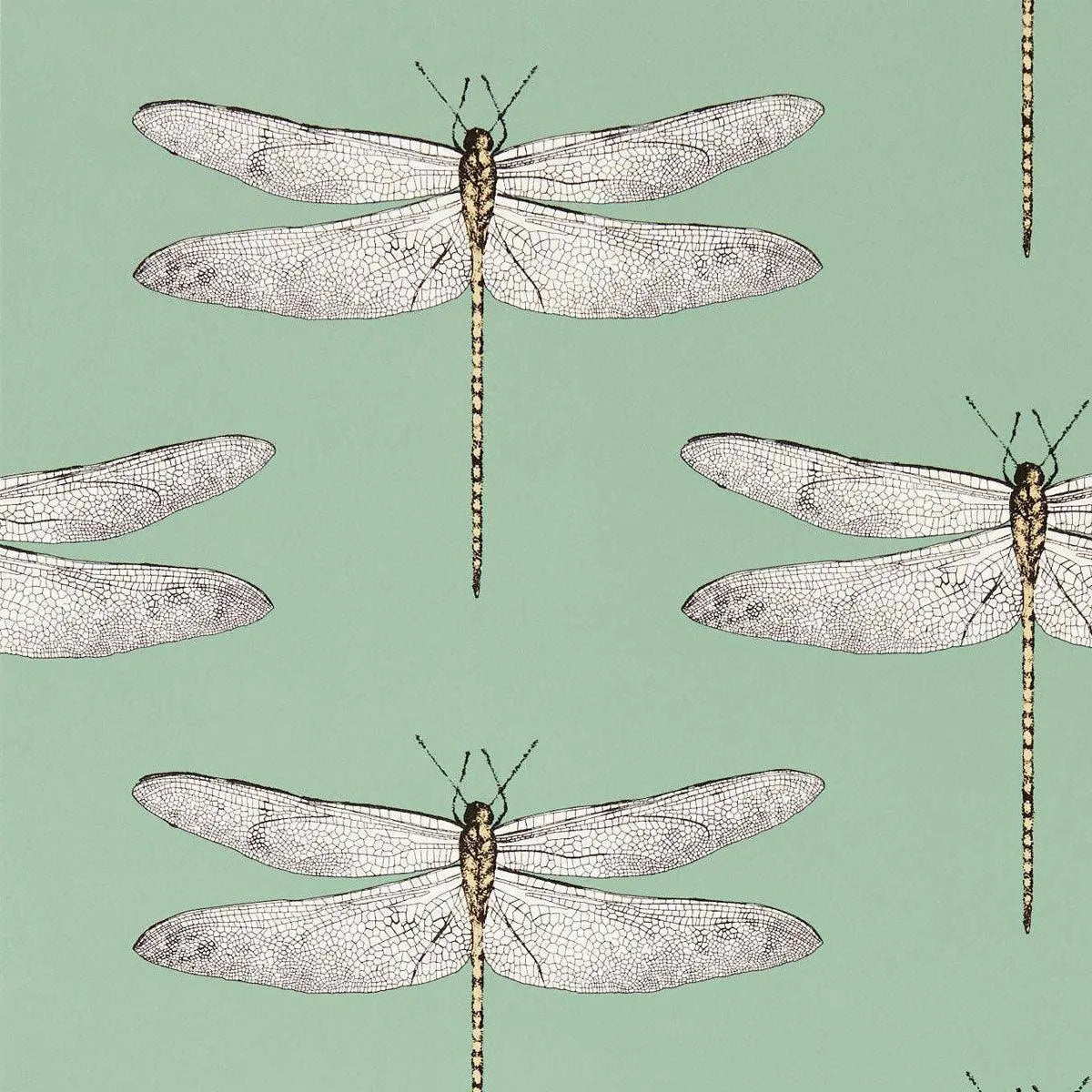 Demoiselle Wallpaper - Harlequin