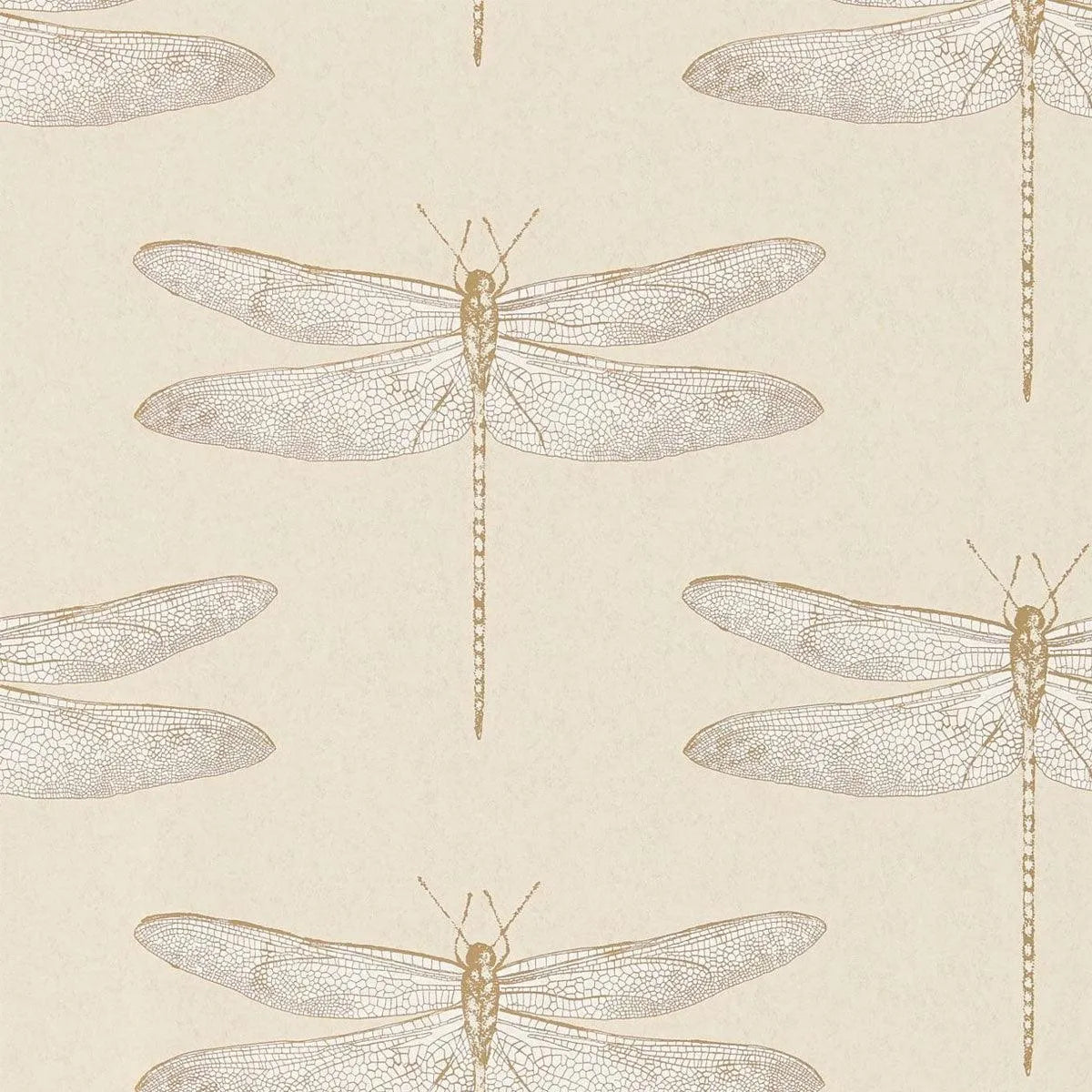Demoiselle Wallpaper - Harlequin