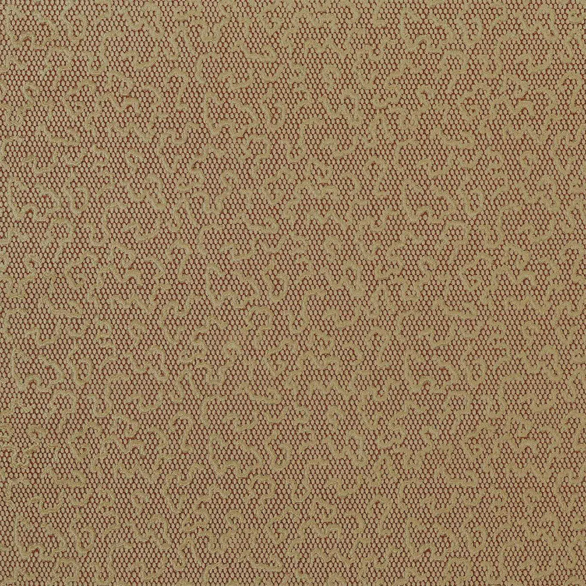 Domino Velvet Fabric - Zoffany