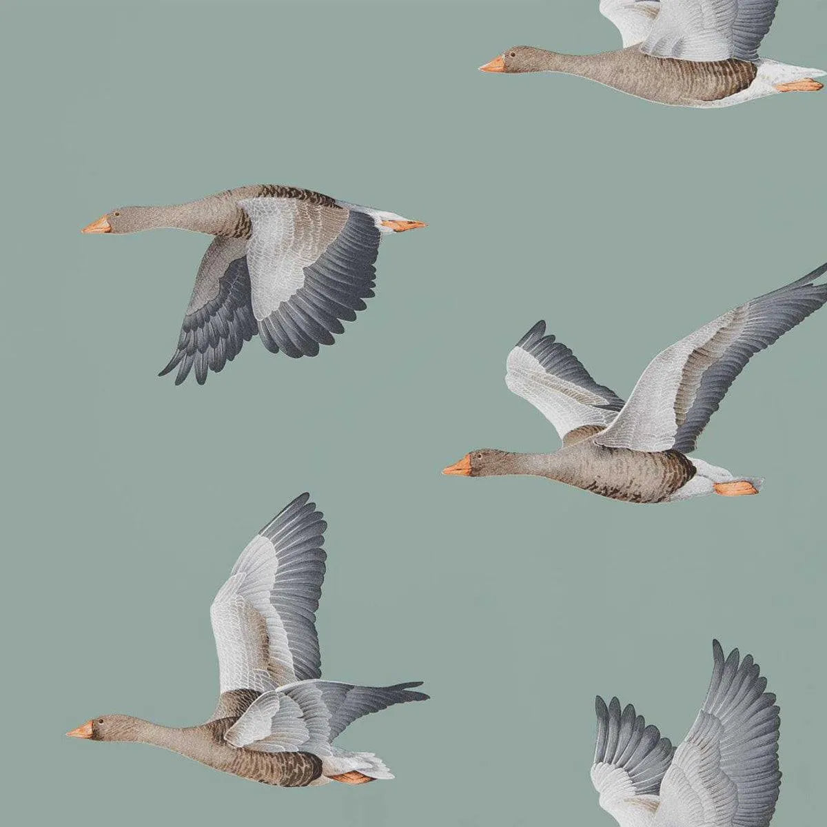 Elysian Geese Wallpaper - Sanderson