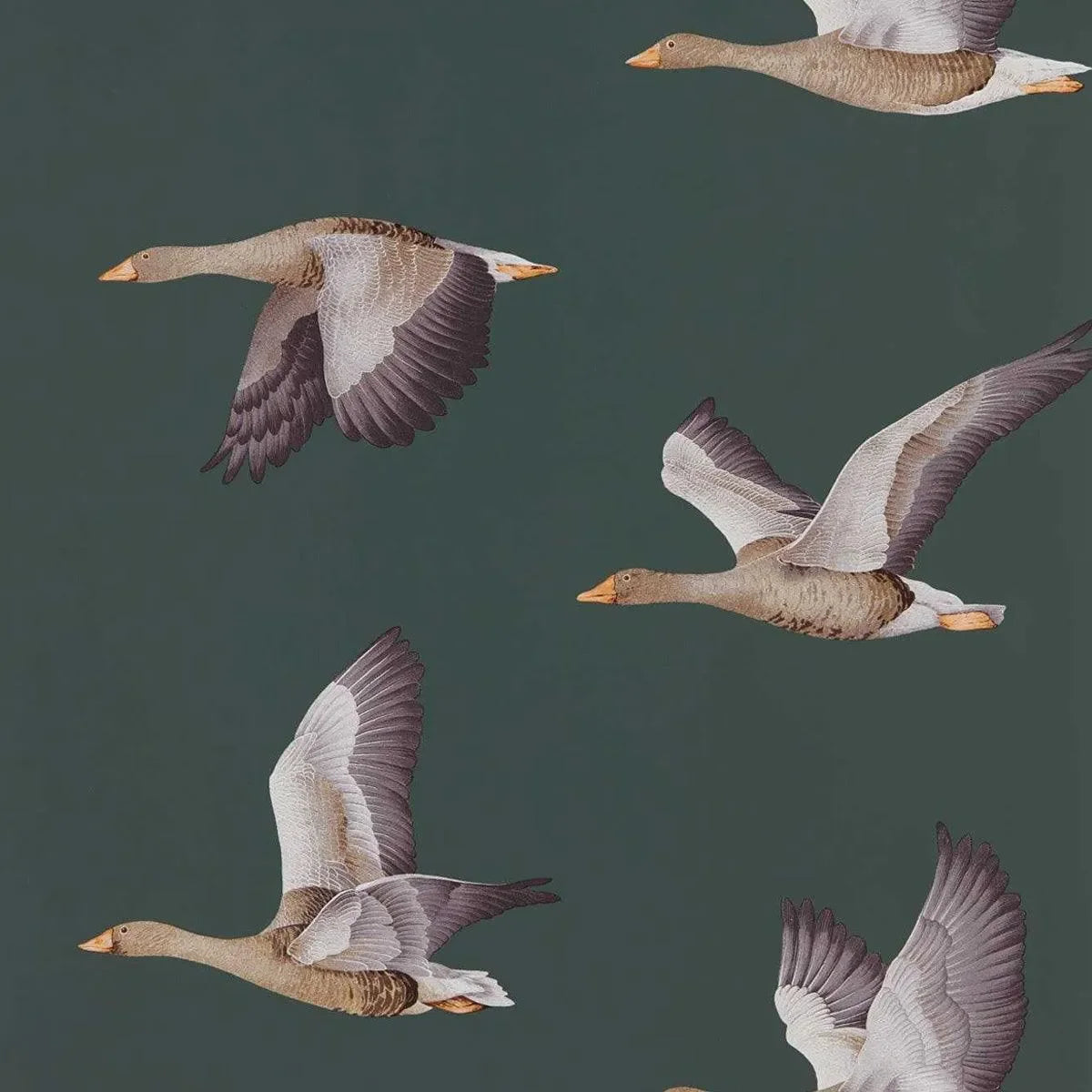 Elysian Geese Wallpaper - Sanderson