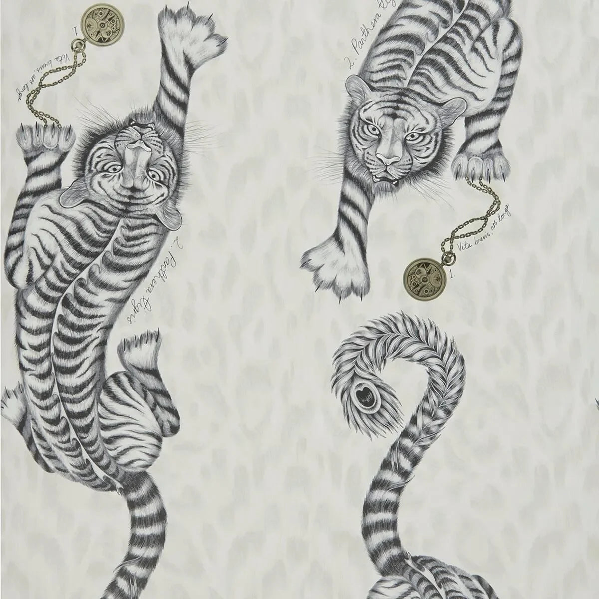 Tigris Wallpaper - Clarke & Clarke X Emma Shipley