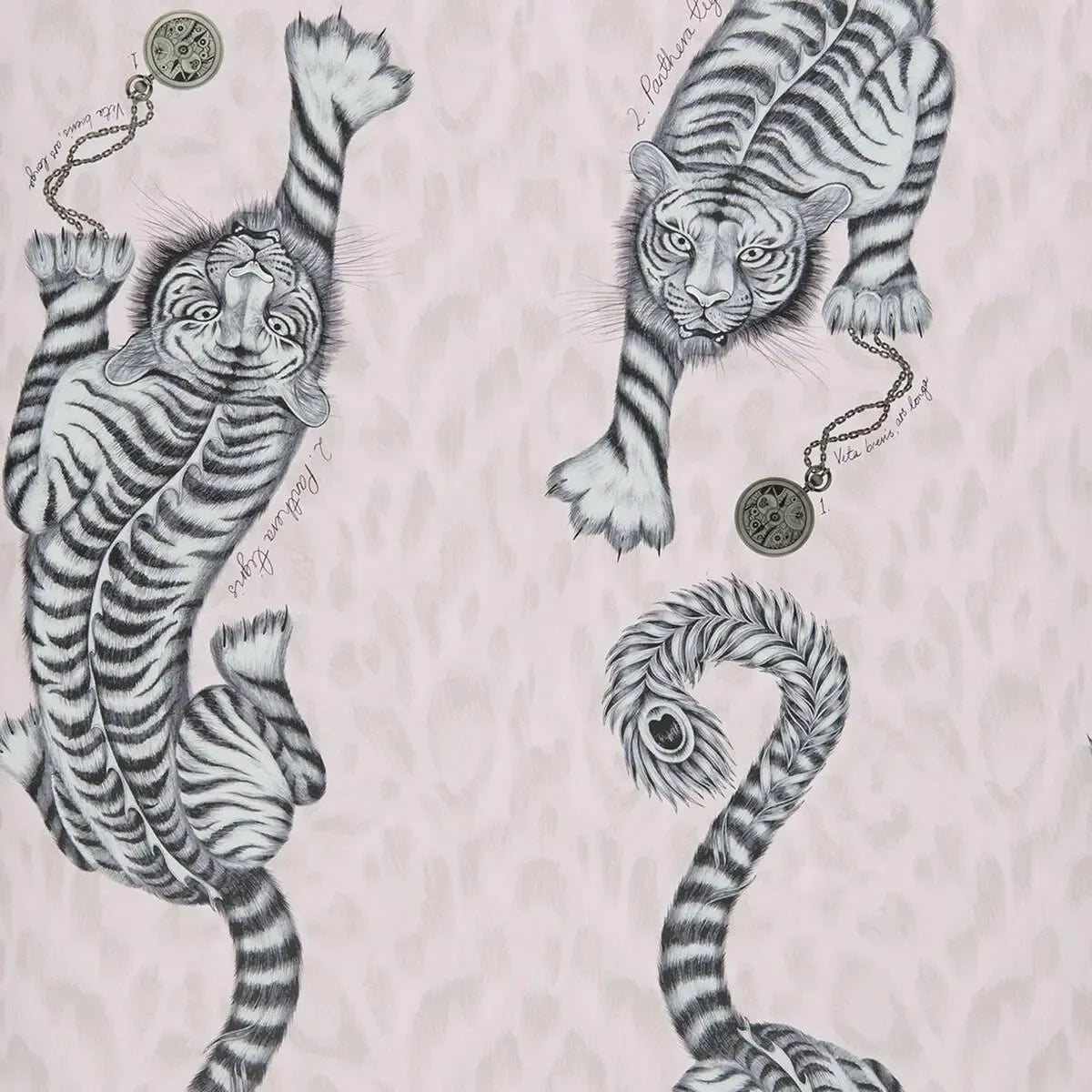 Tigris Wallpaper - Clarke & Clarke X Emma Shipley