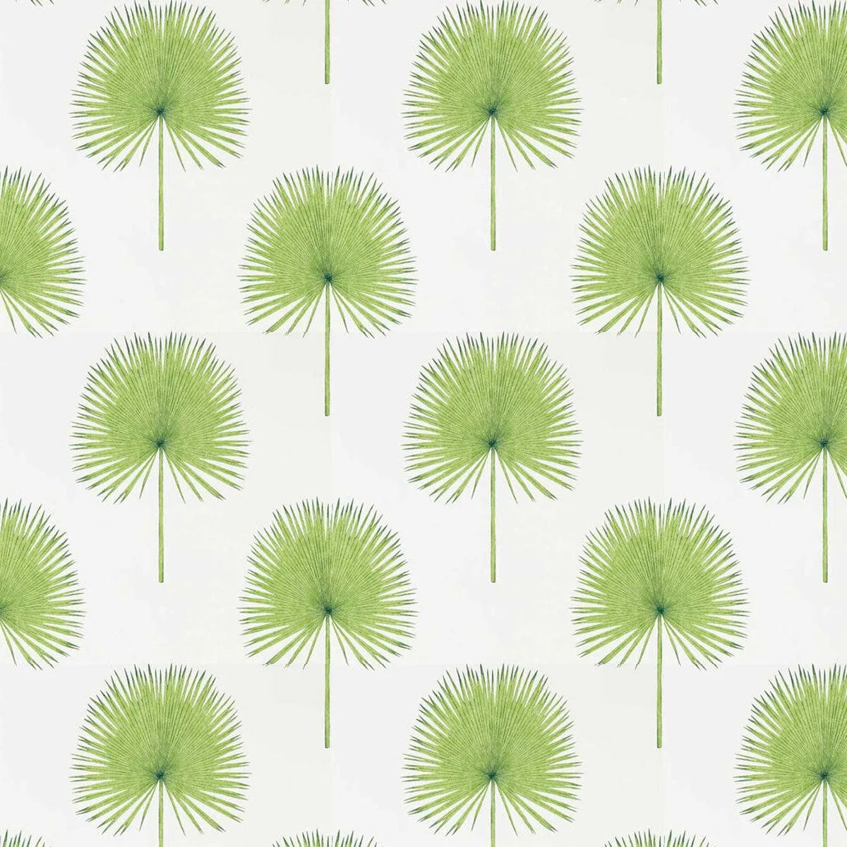 Fan Palm Wallpaper - Sanderson