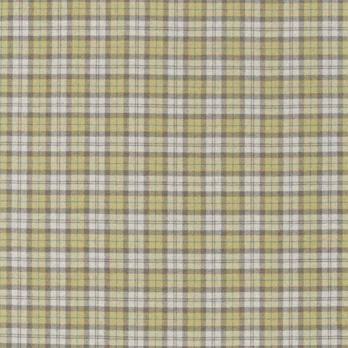 Fenton Check Fabric - Sanderson