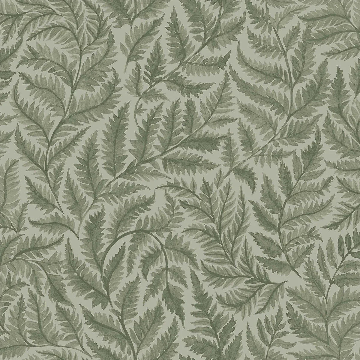 Ferns Wallpaper - Borastapeter