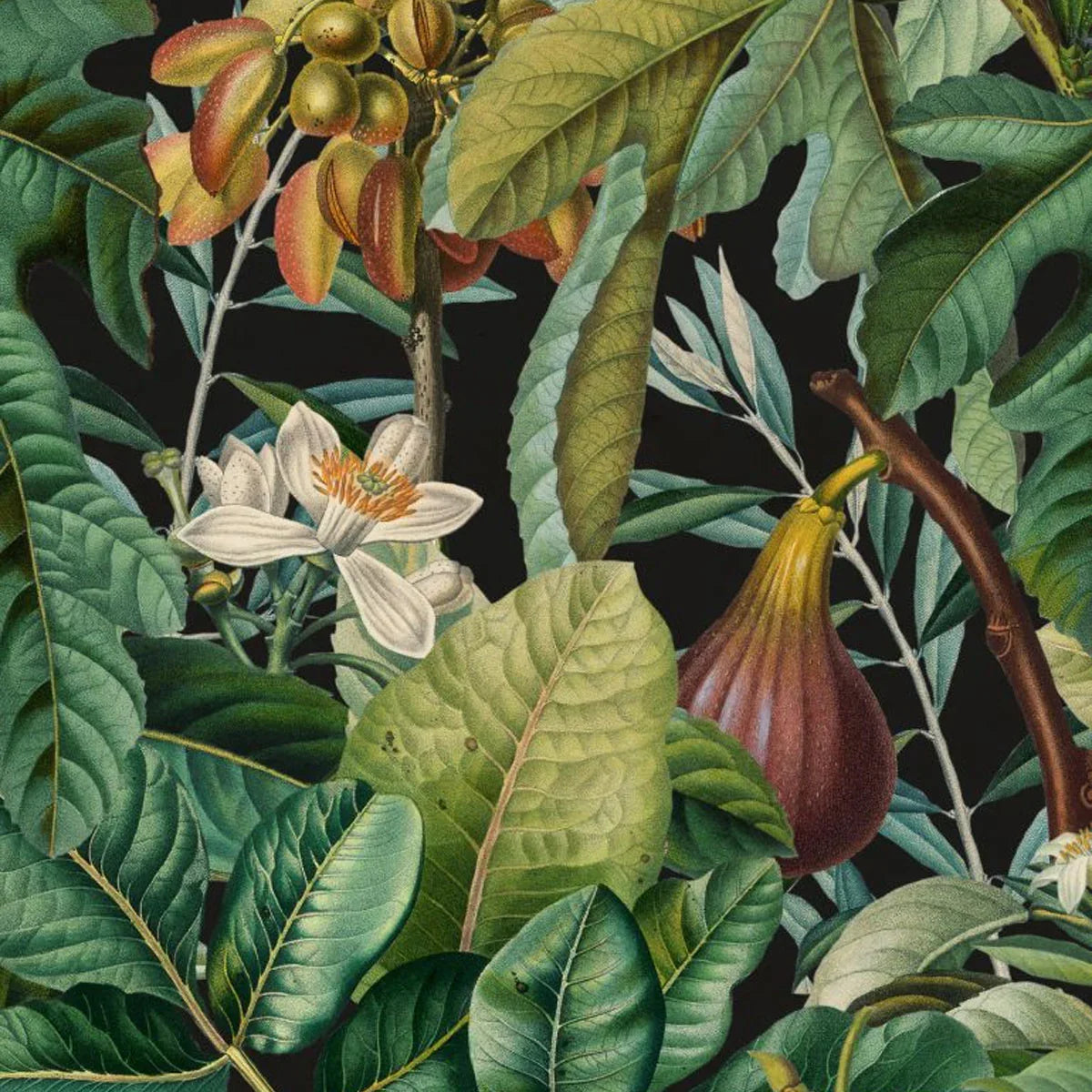 Figs and Dates Wallpaper - Mind The Gap