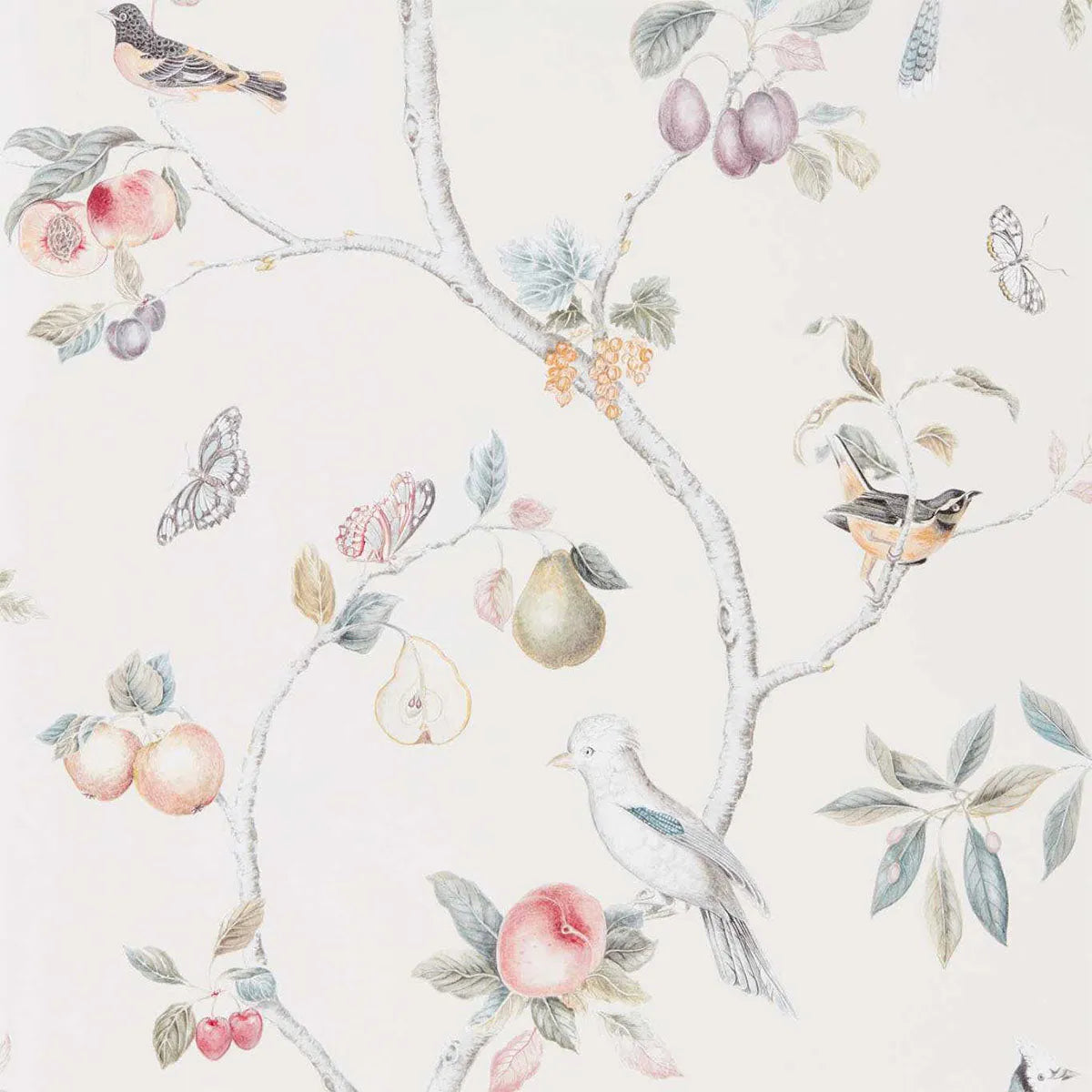 Fruit Aviary Wallpaper - Sanderson