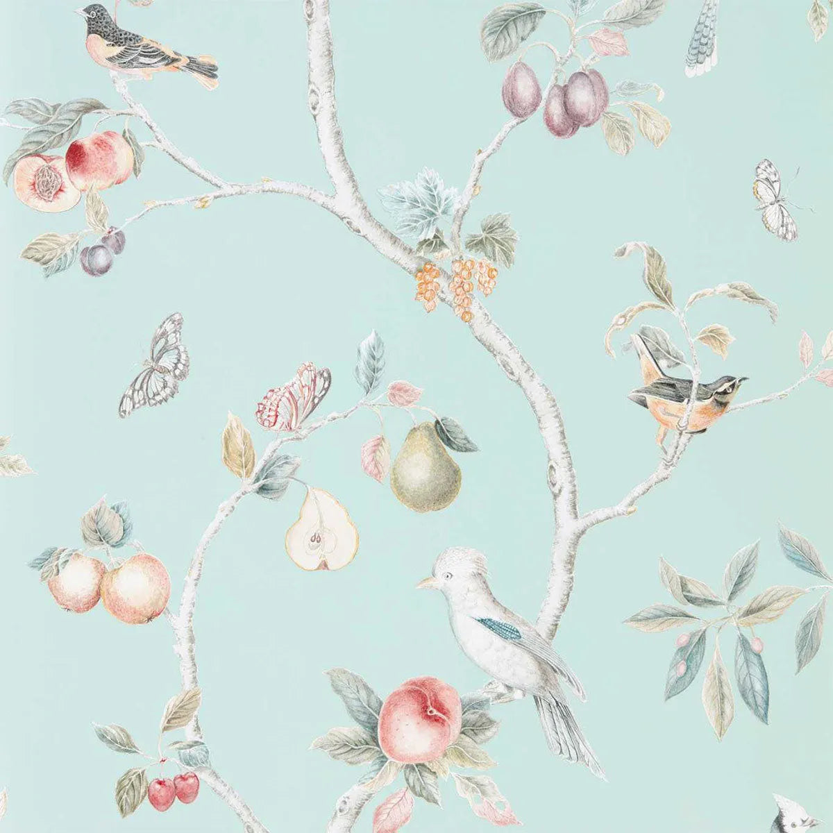 Fruit Aviary Wallpaper - Sanderson