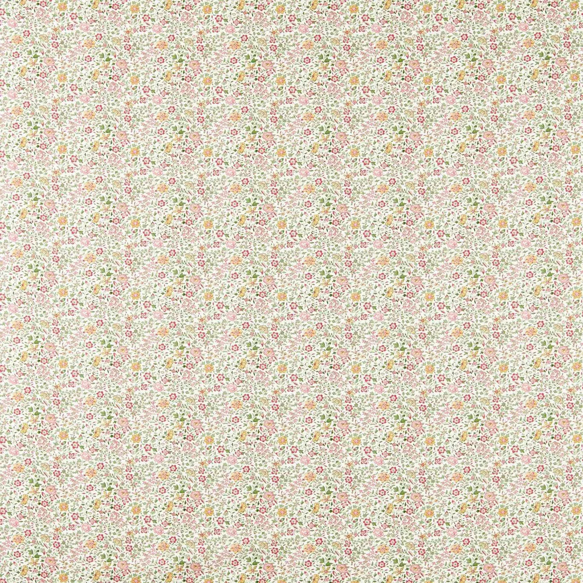Gamthi Fabric - Clarke & Clarke