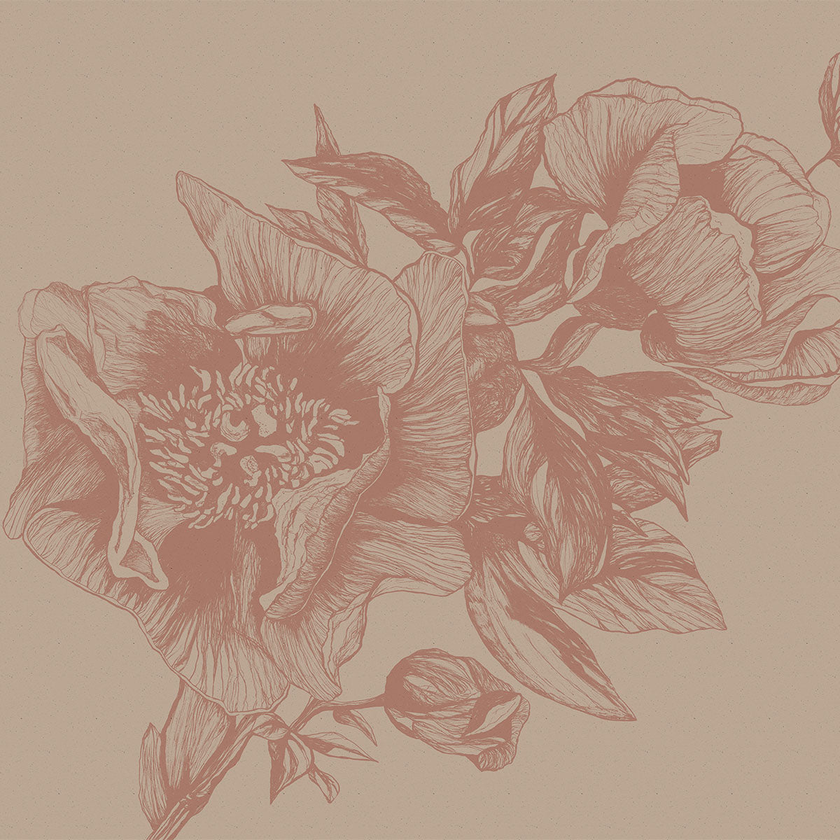 Giant Peonies Mural Wallpaper - Coordonne