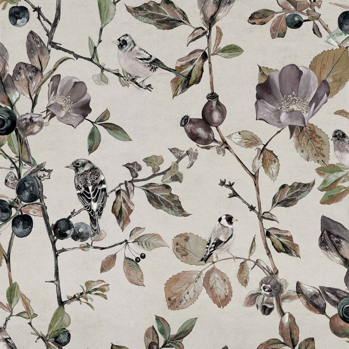 Goldfinch Song Wallpaper - Coordonne