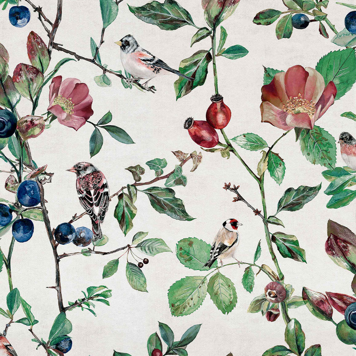 Goldfinch Song Wallpaper - Coordonne