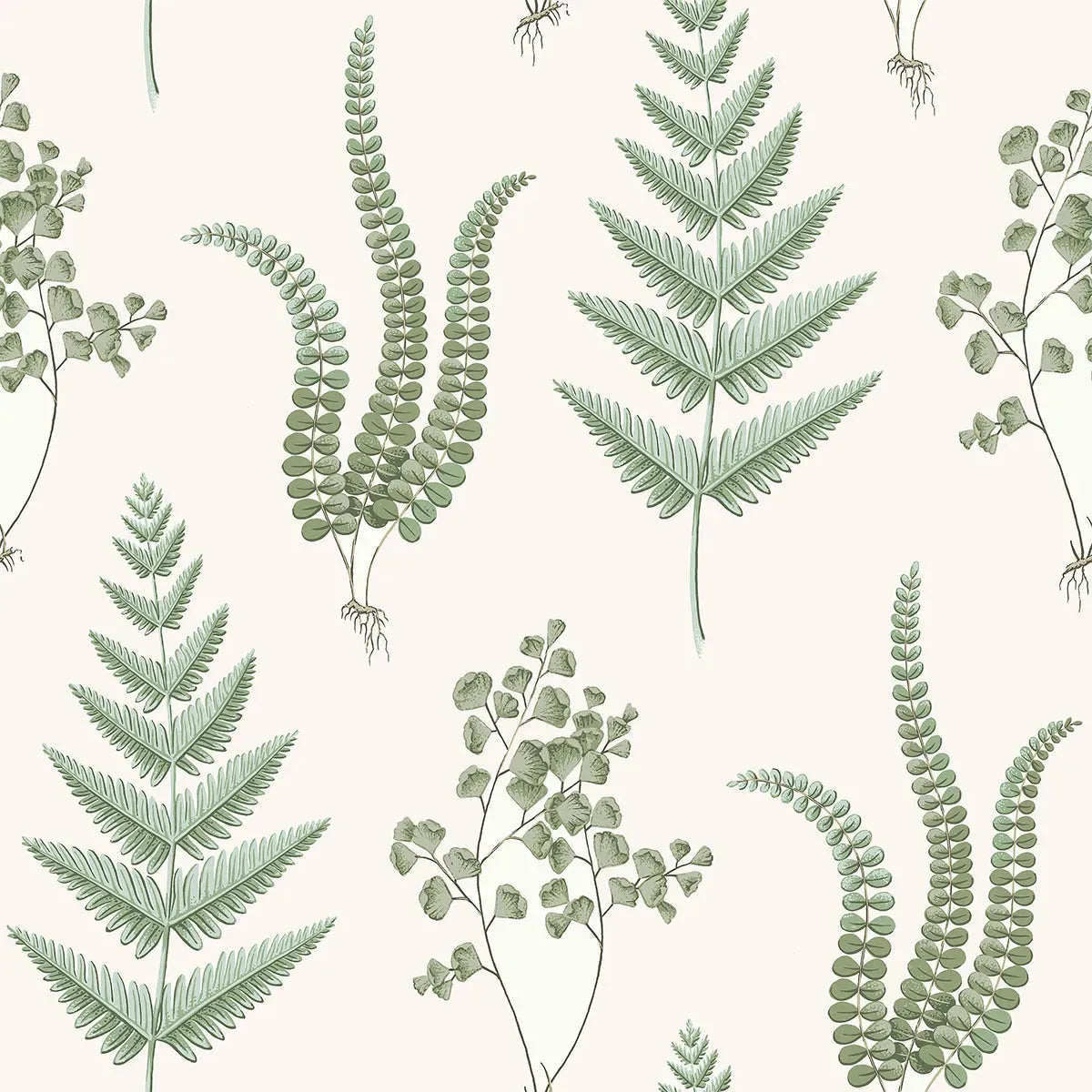 Herba Wallpaper - Borastapeter