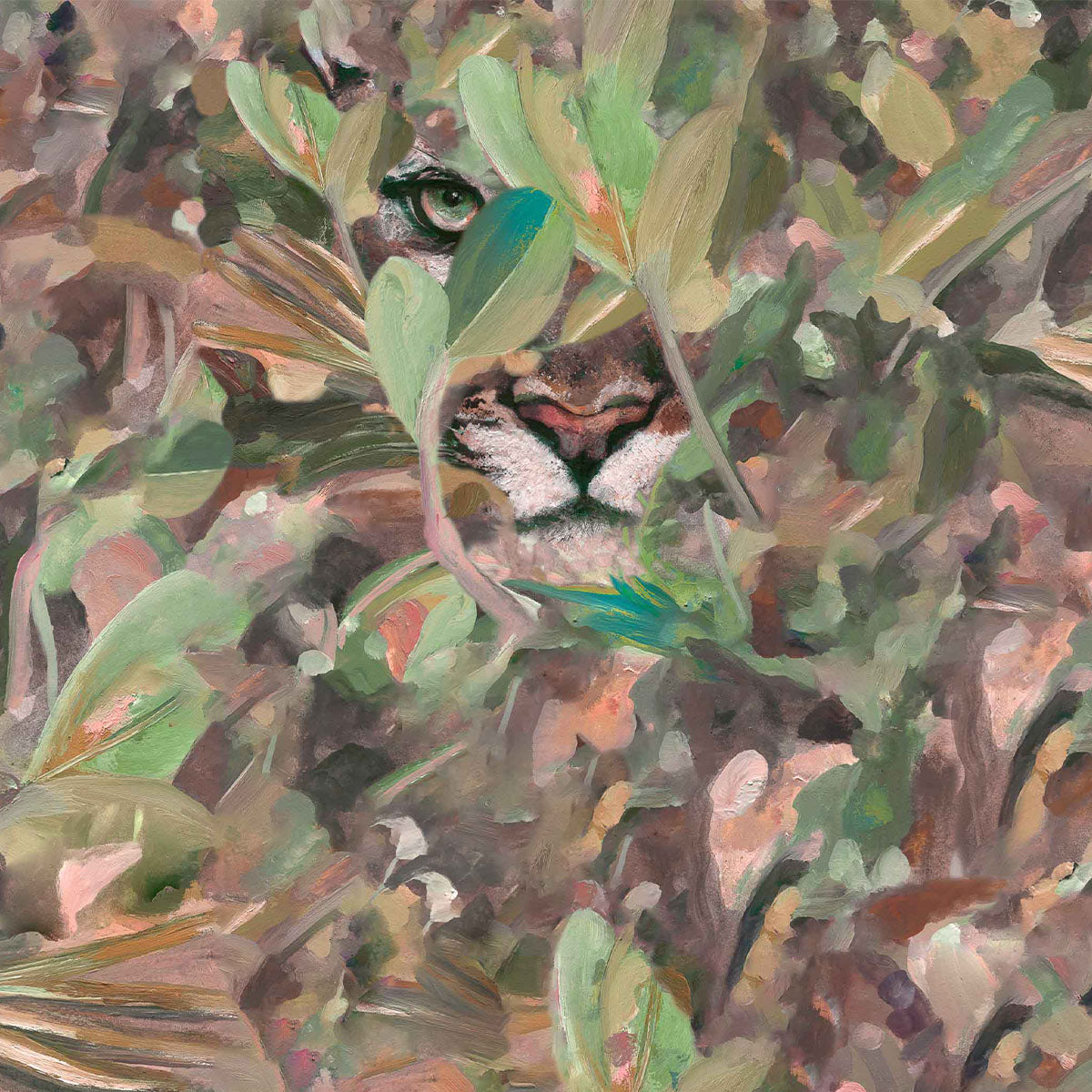 Hidden Puma Wallpaper - Coordonne