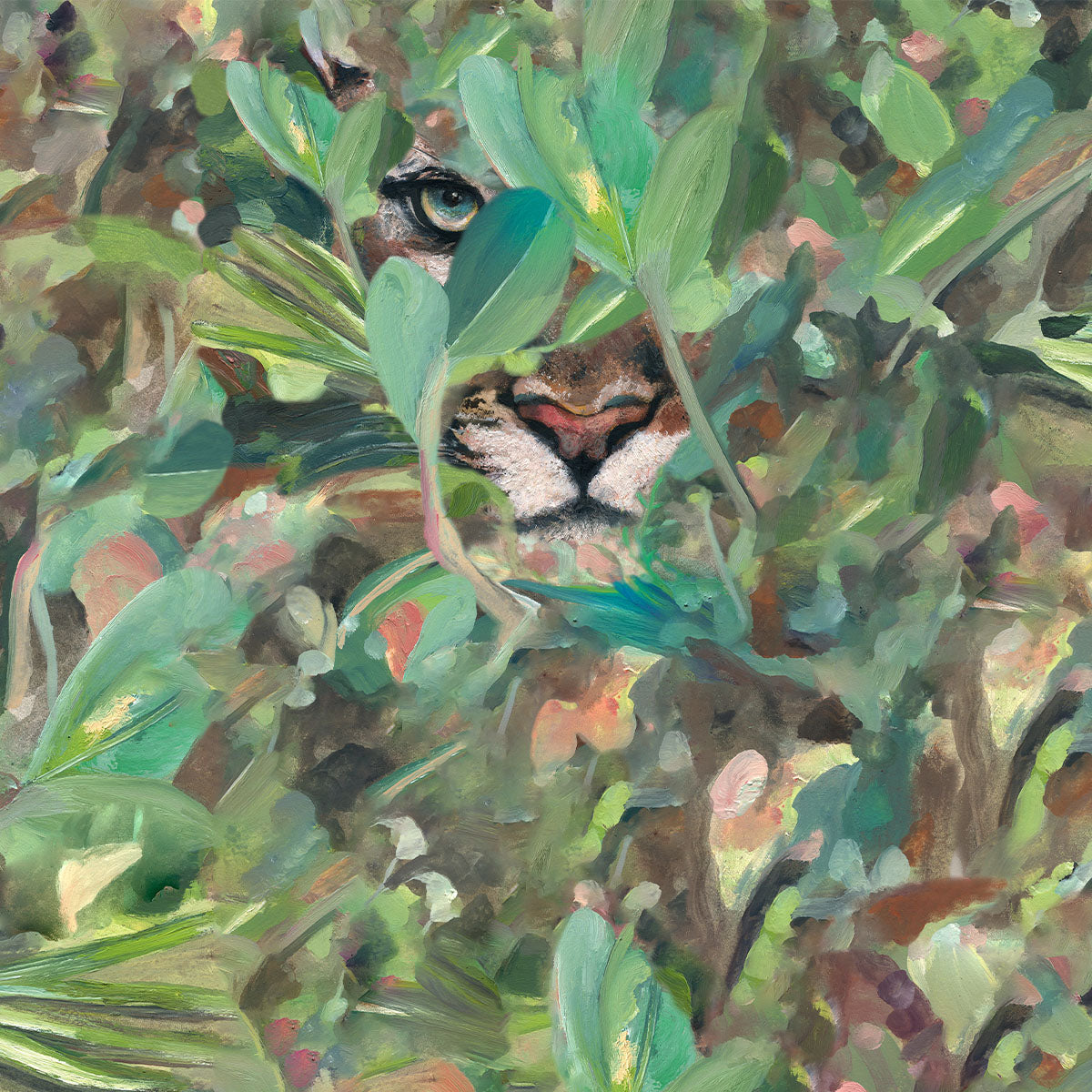 Hidden Puma Wallpaper - Coordonne