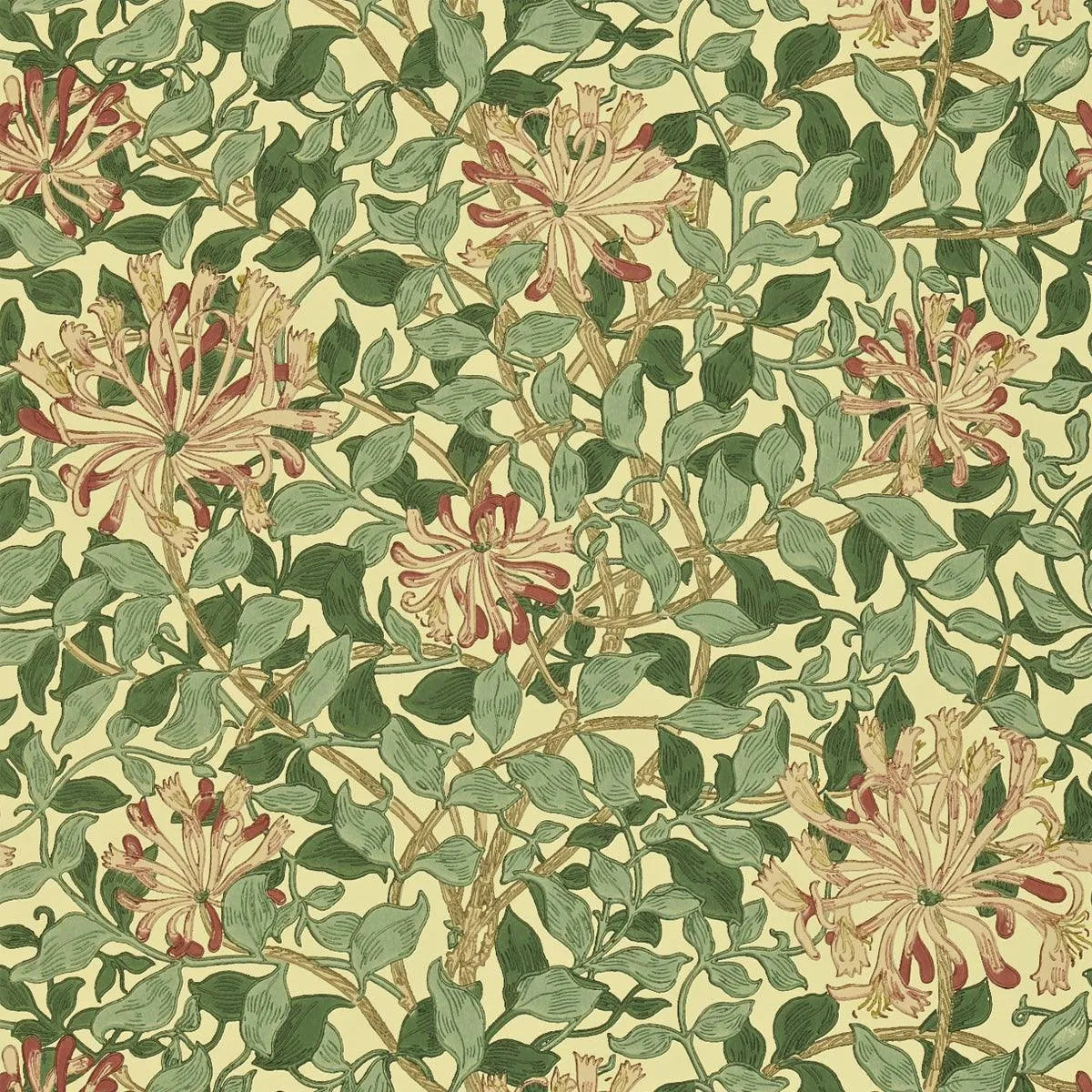 Honeysuckle Wallpaper - Morris & Co