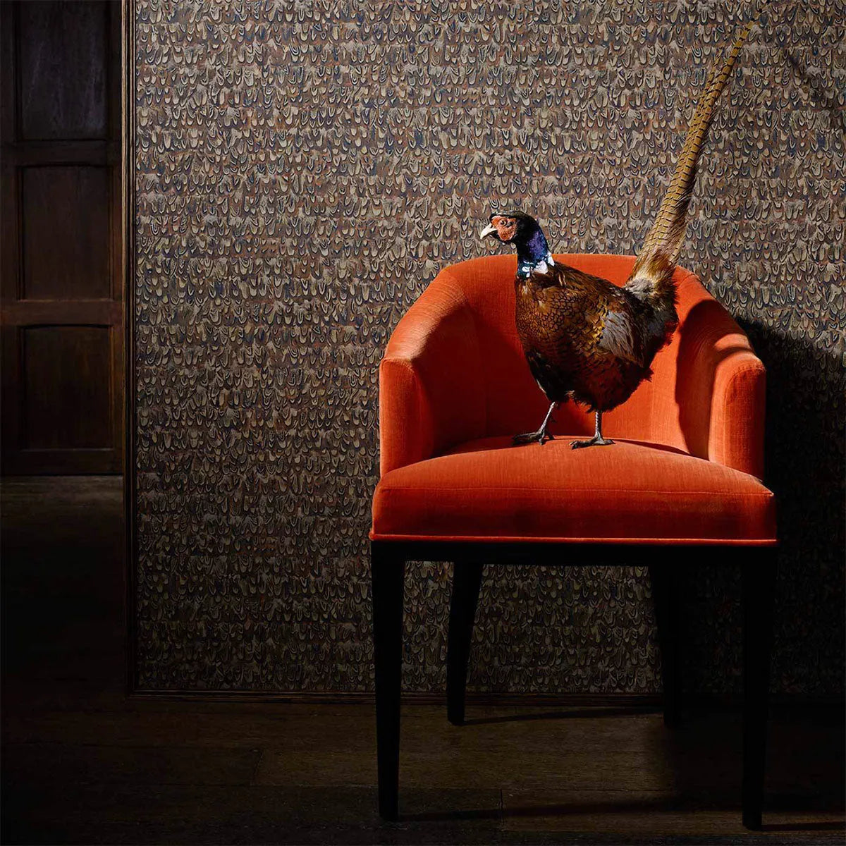 Icarus Wallpaper - Zoffany