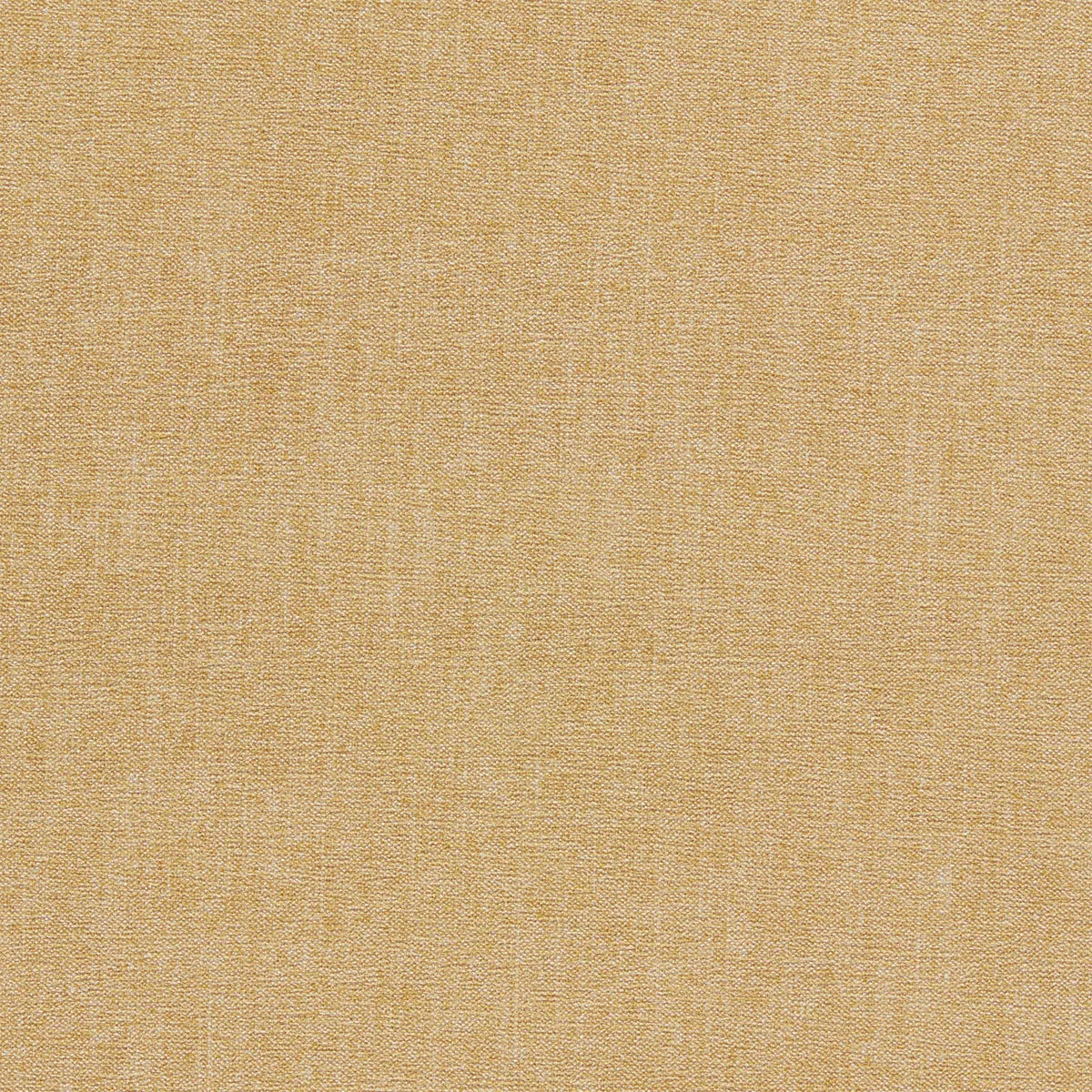 Jaipur Fabric - Clarke & Clarke