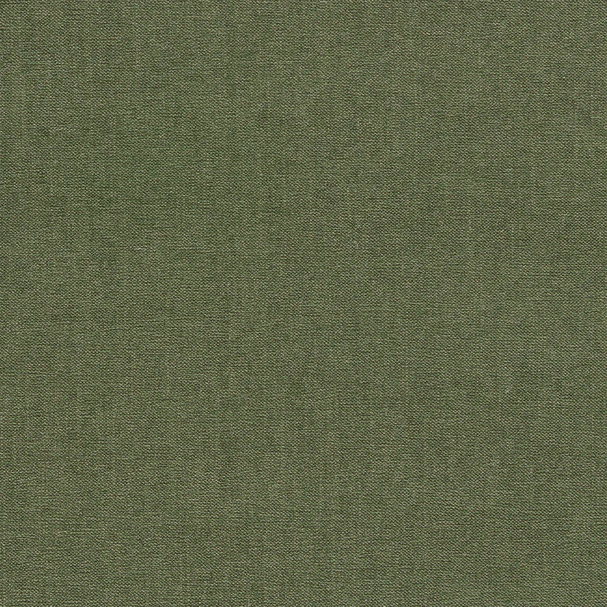Jaipur Fabric - Clarke & Clarke