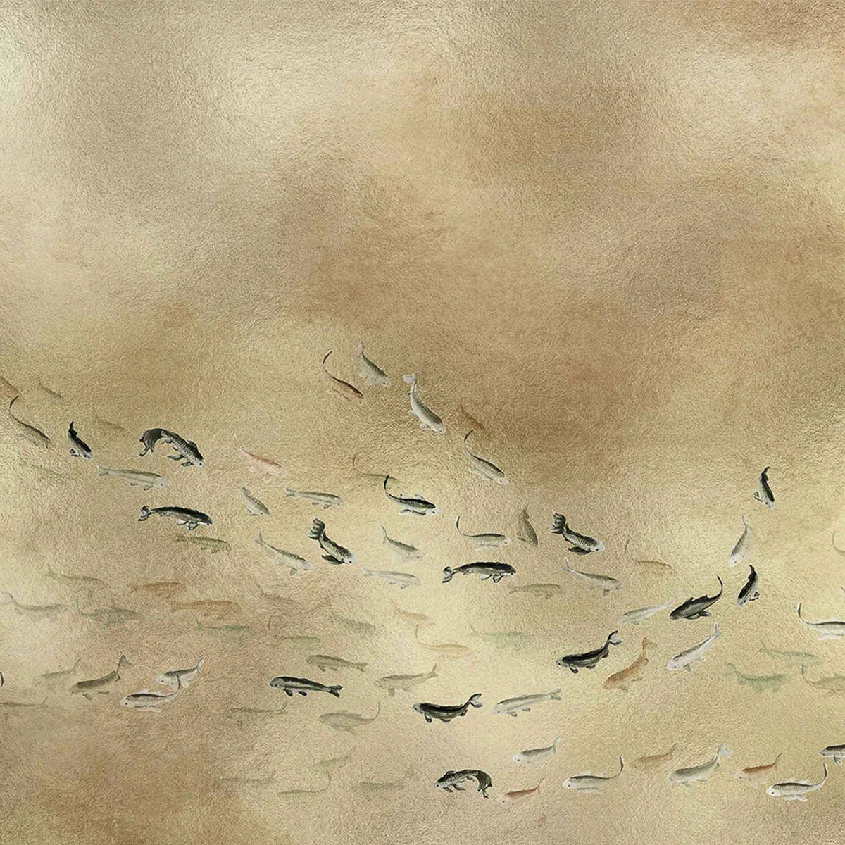 Koi Mural Wallpaper - Coordonne