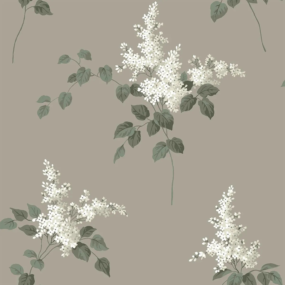 Lilacs Wallpaper - Borastapeter