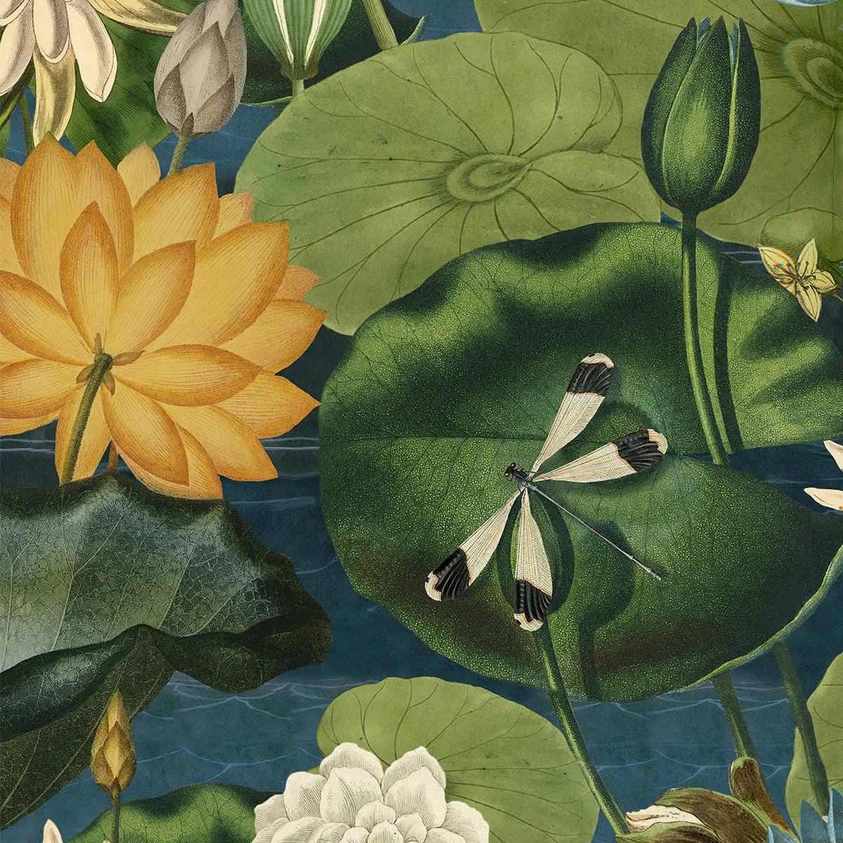 Lotus Blossom Wallpaper - Mind The Gap