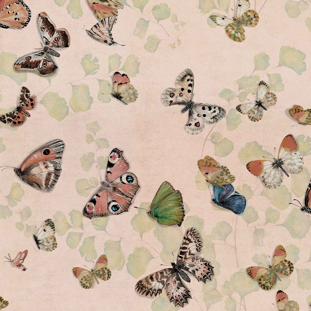 Magic Butterflies Wallpaper - Coordonne