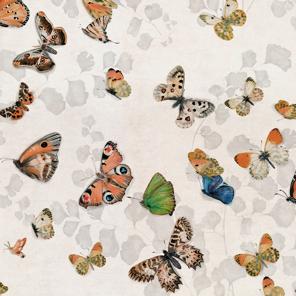 Magic Butterflies Wallpaper - Coordonne