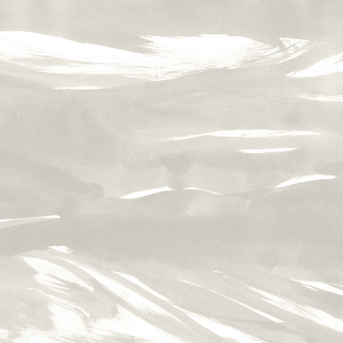Marine Xray Mural Wallpaper - Coordonne
