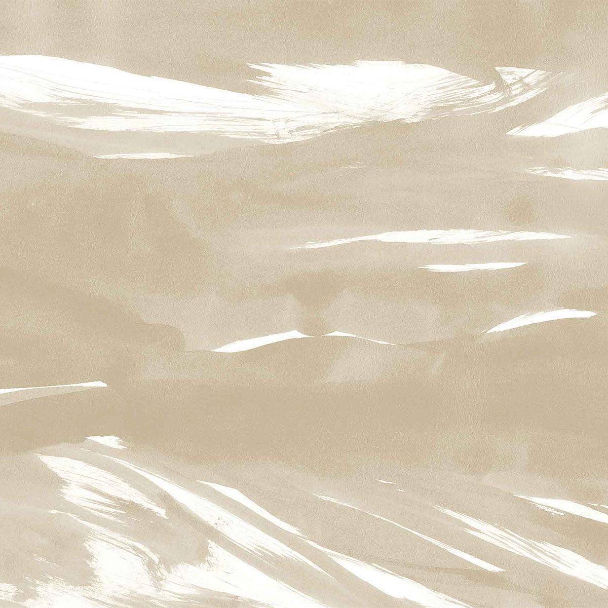 Marine Xray Mural Wallpaper - Coordonne
