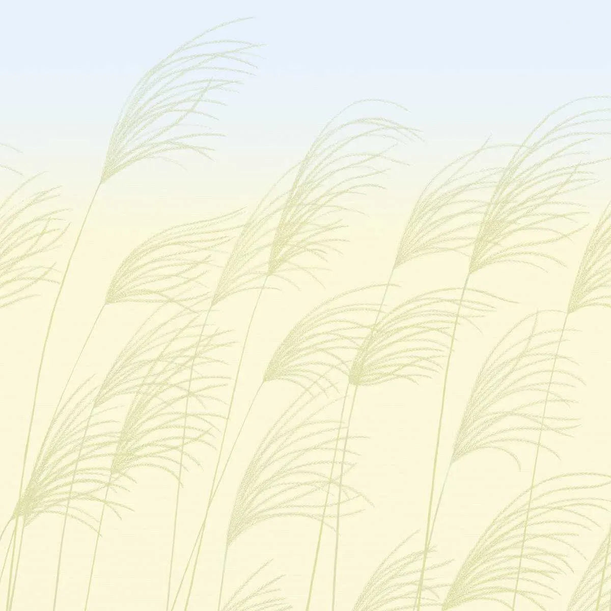 Miscanthus Wallpaper - Harlequin