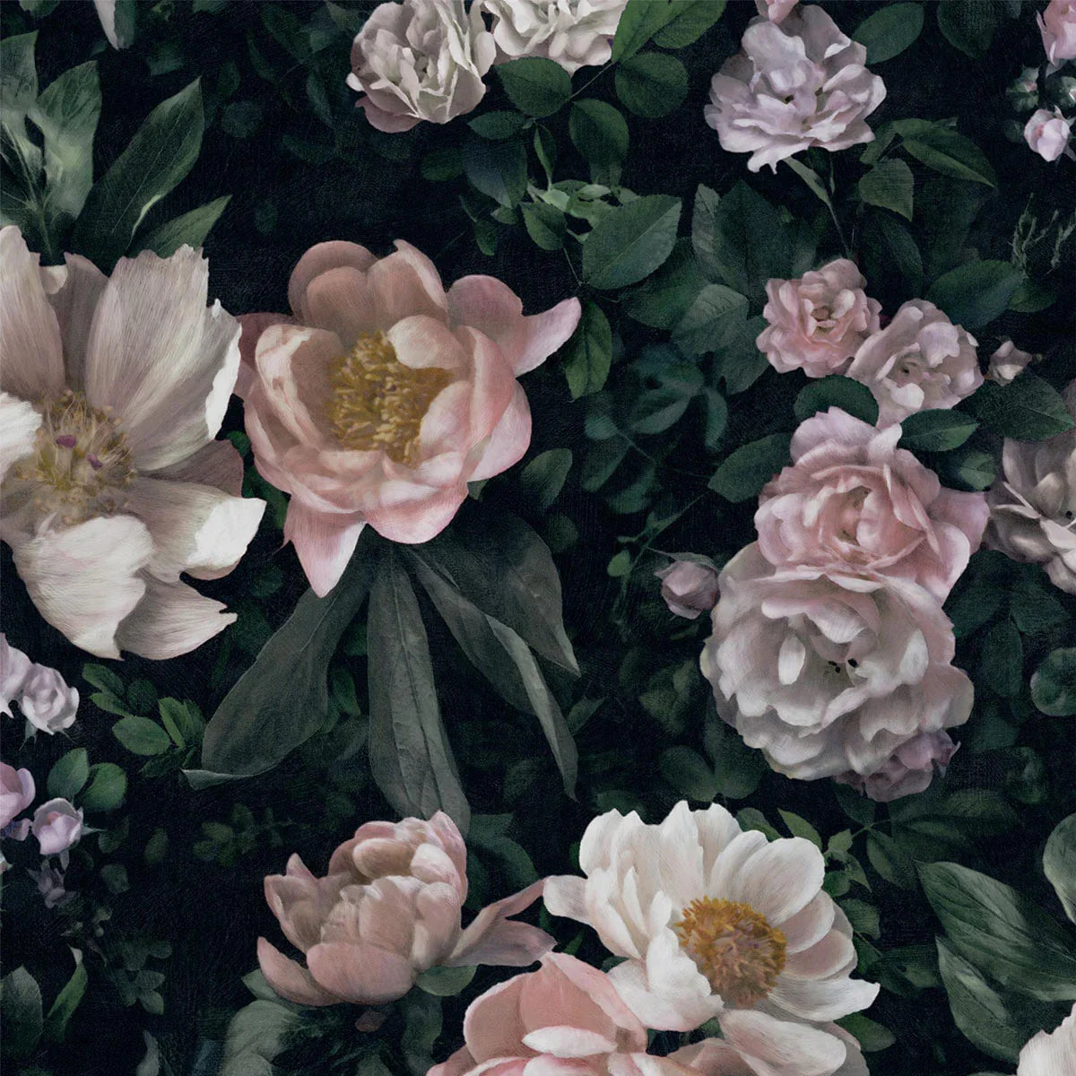 New Dawn Rose Wallpaper - Borastapeter
