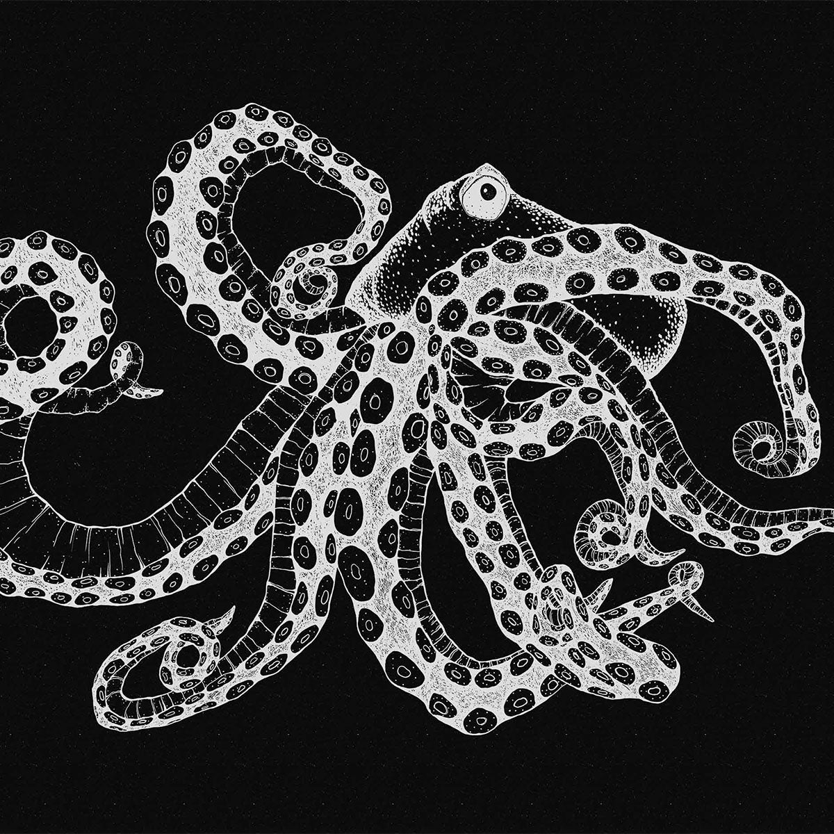 Octopus X-Ray Mural Wallpaper - Coordonne