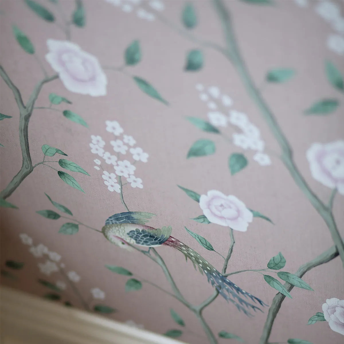 Paradise Birds Wallpaper - Borastapeter