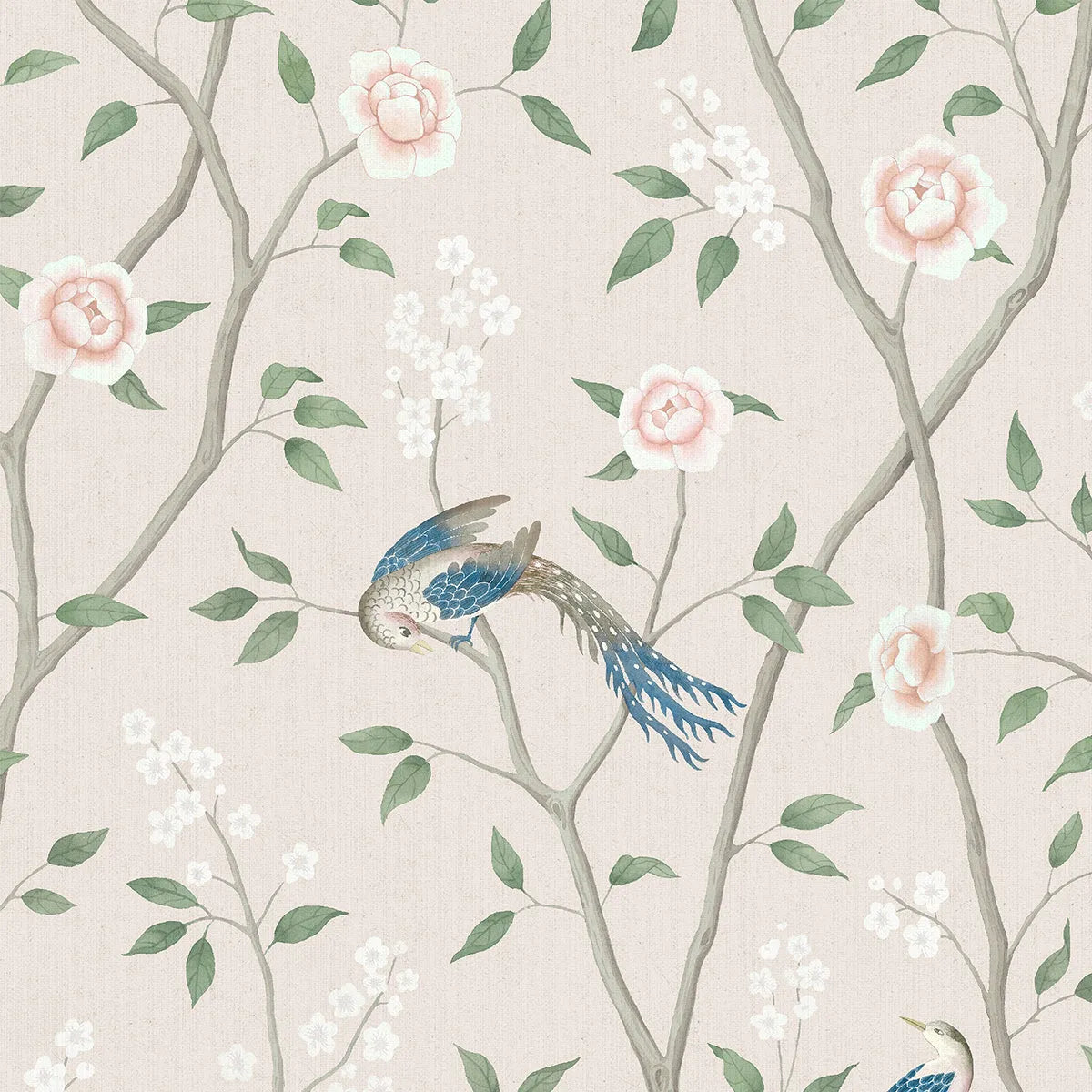 Paradise Birds Wallpaper - Borastapeter