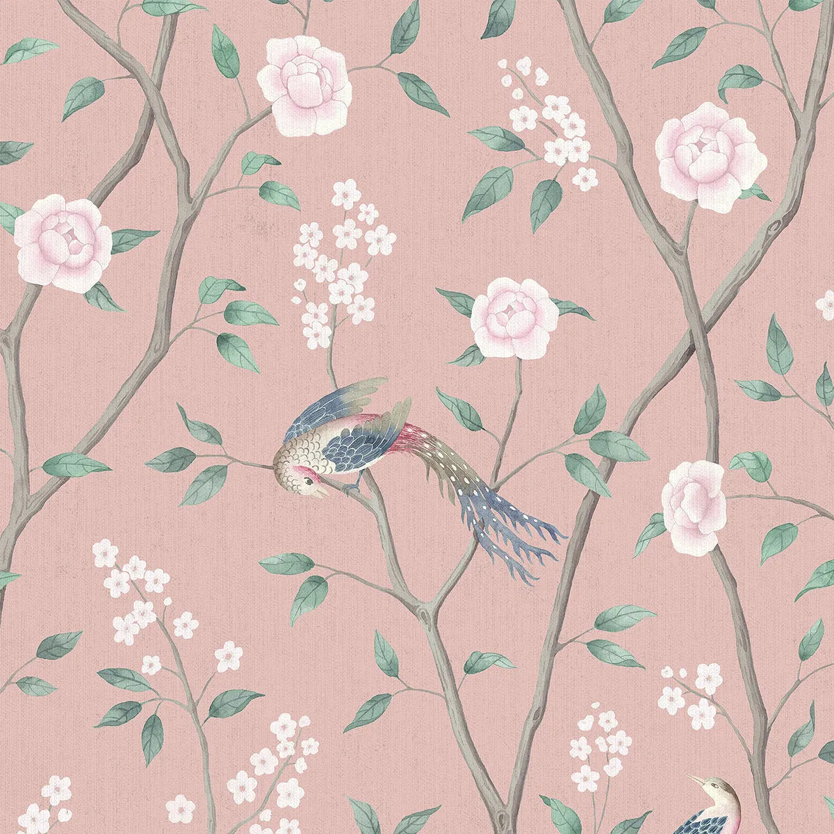 Paradise Birds Wallpaper - Borastapeter
