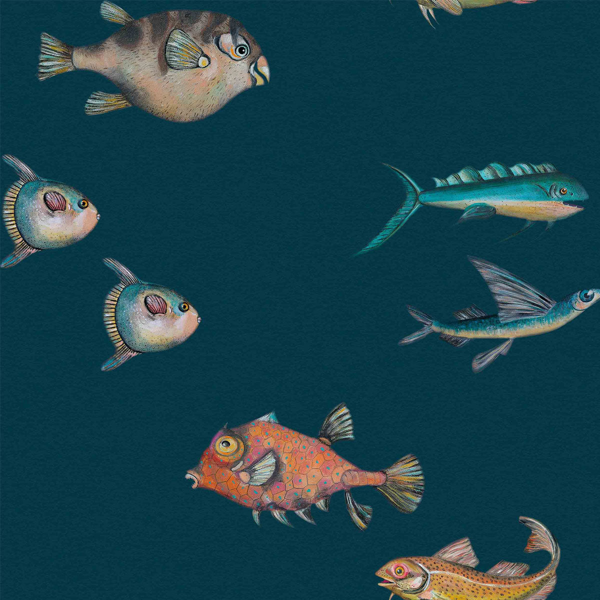 Peces Santamans Wallpaper - Coordonne
