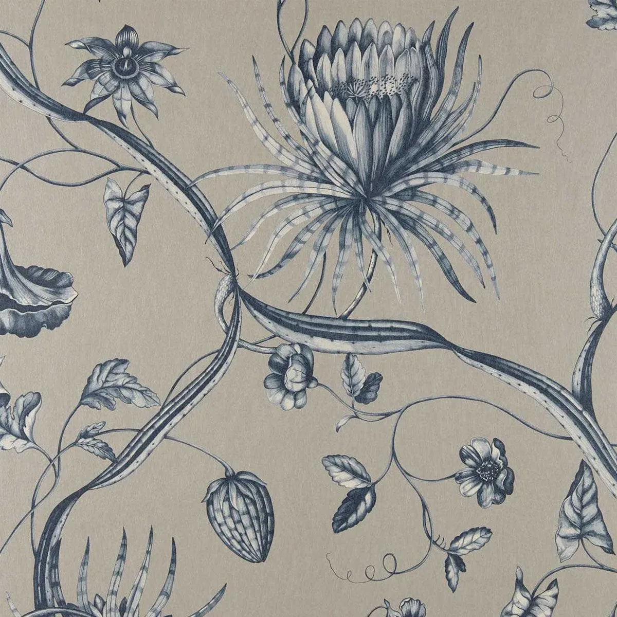 Phaedra Wallpaper - Zoffany