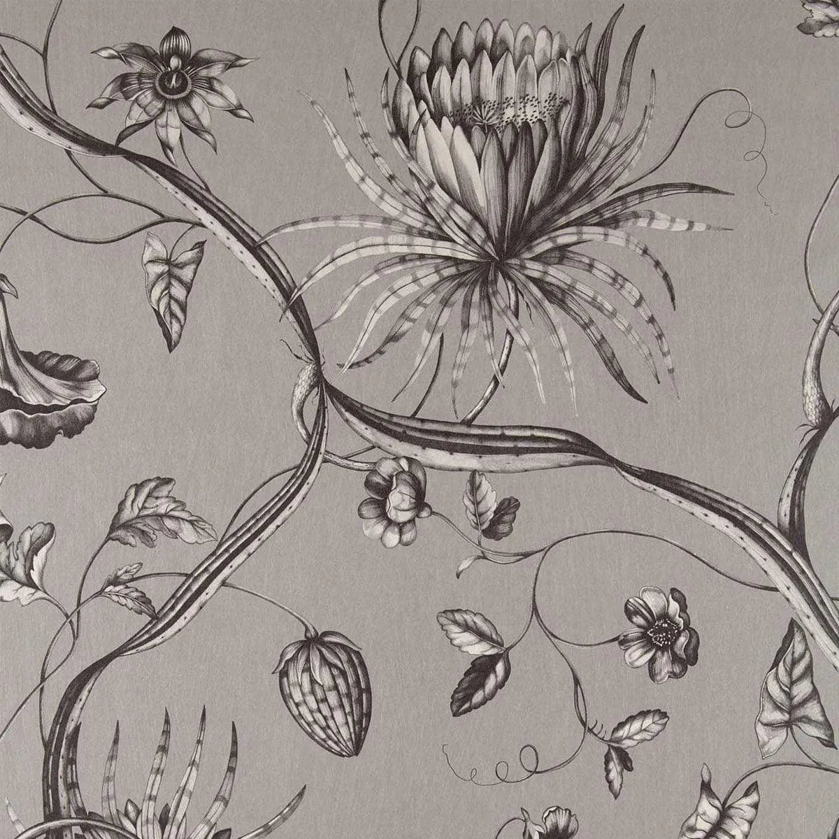 Phaedra Wallpaper - Zoffany