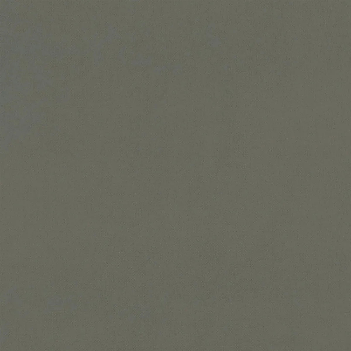 Renzo Fabric - Clarke & Clarke