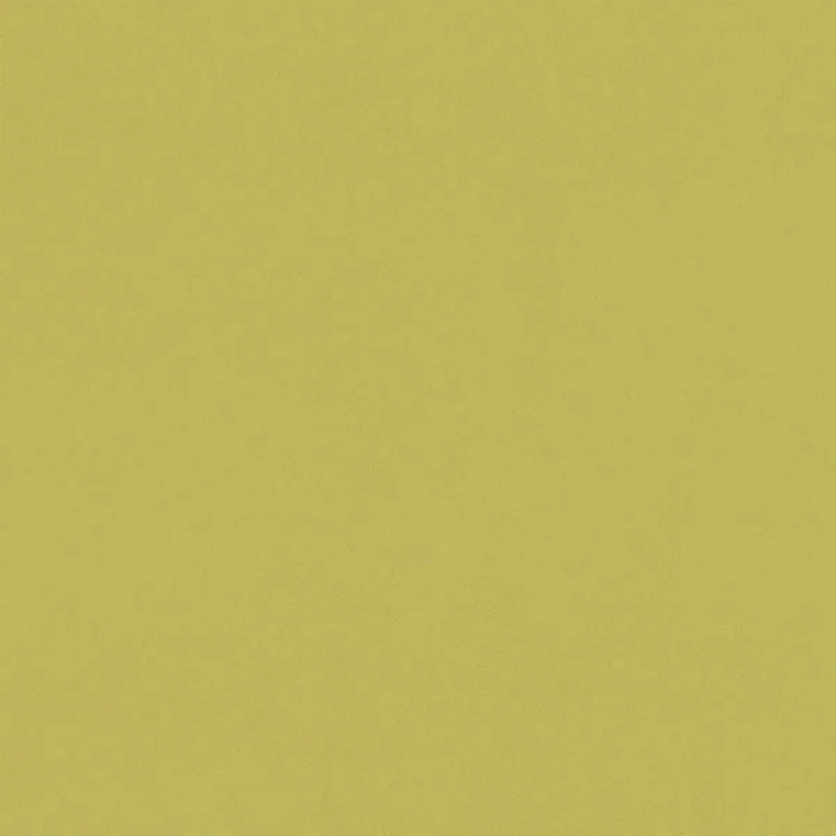 Renzo Fabric - Clarke & Clarke