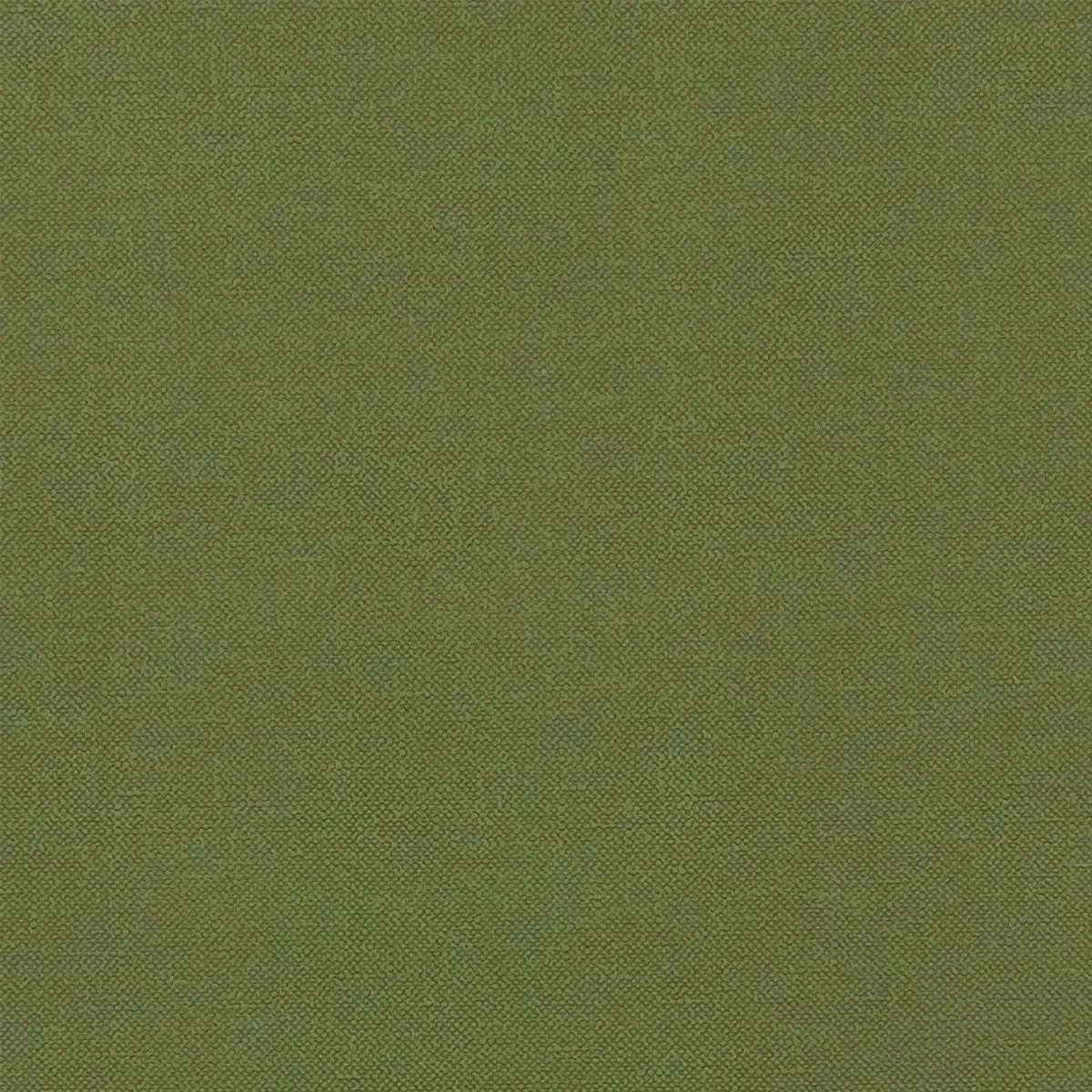 Renzo Fabric - Clarke & Clarke