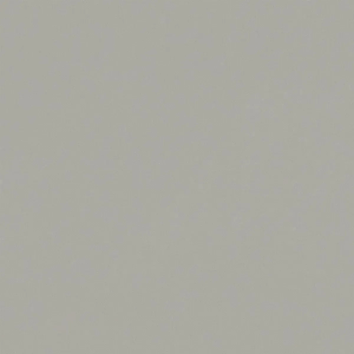 Renzo Fabric - Clarke & Clarke