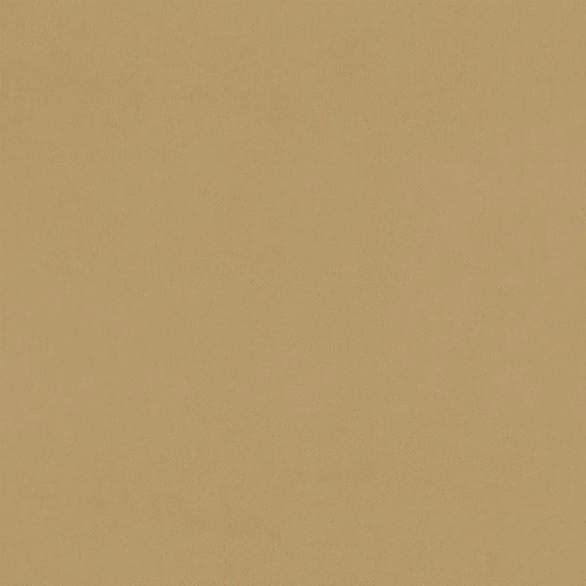 Renzo Fabric - Clarke & Clarke