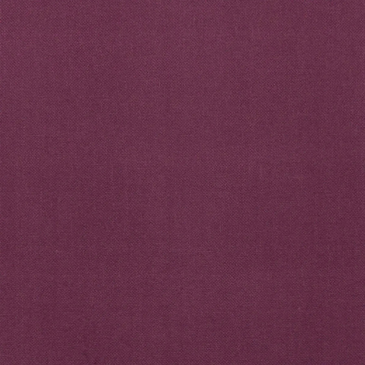 Renzo Fabric - Clarke & Clarke