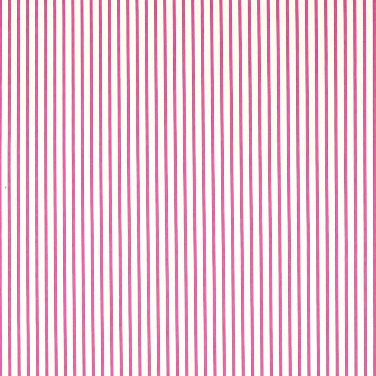 Ribbon Stripe Fabric - Harlequin X Sophie Robinson